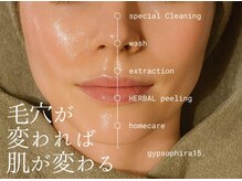 ジプソフィラフィフティドット(gypsophira15.)