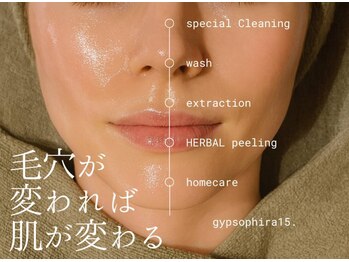 ジプソフィラフィフティドット(gypsophira15.)