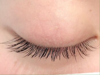 カラン 焼津店(CALIN)/フラットラッシュ140本