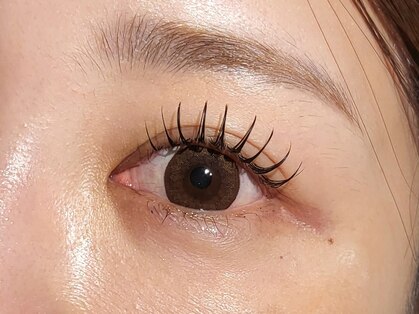ロージー(Rosie)の写真
