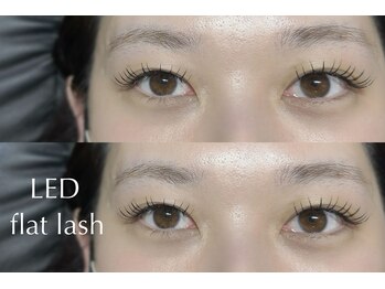 アトリエ ロータス 仙台駅前店(Atelier LOTUS)/LEDエクステ