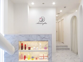 アマリリス(Amaryllis)/《受付》