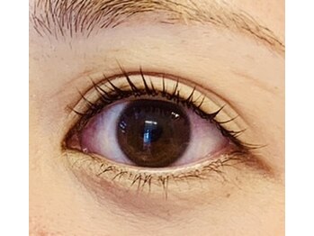 アプリコット(apricott)/【ラッシュリフト】上 ¥5000