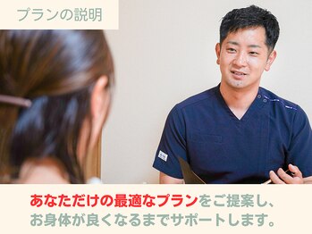 ピース/施術計画の説明