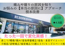 リボーン(REBORN)
