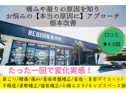 リボーン(REBORN)の写真
