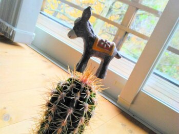 ドライヘッドスパ専門店 カフネ1329【3月5日NEW OPEN(予定)】/*image*