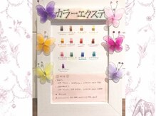 カハラ 荻窪店/カラーエクステチャート