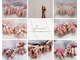 ジルネイル(Zir nail)の写真