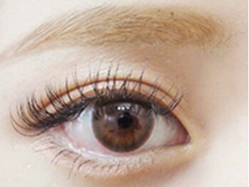 リア 門前仲町店(li'a)/高級セーブルエクステ150本/6980