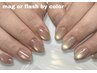 【再来】マグネットorフラッシュバイカラーネイル(60min)