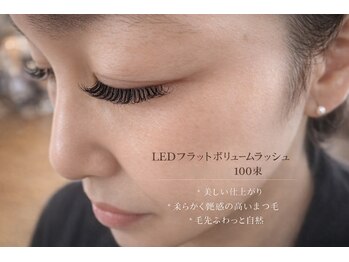 チック(chick)/LEDフラットボリューム100束
