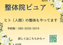 整体院ピュア