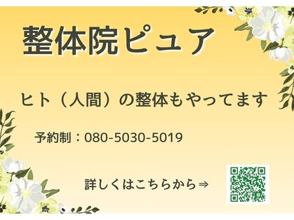 整体院ピュアの写真