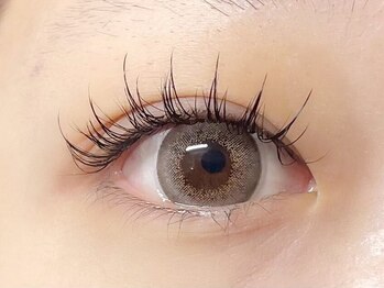 ネイルサロン レン(Ren)/【マツエク】フラットラッシュ