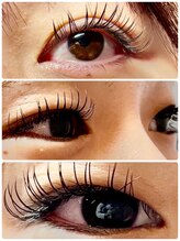 アイラッシュマルヴァ(Eye Lash Malva)/フラットラッシュ