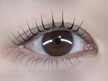 アップフォースリフト(UPforceLift)の写真/【人気のまつ毛パーマ★UPforceLift&アイブロウ専門店】学割U24★アップフォースリフト¥6600→¥3980◎