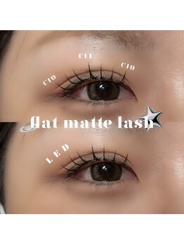 プライベートサロン ヴェール(Veil)/フラットカラー120本