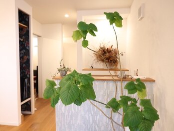 フフ(fufu)/いらっしゃいませ！！