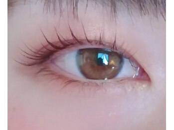 アイラッシュココア バイ TJ天気予報(eyelash Cocoa)の写真/丁寧なカウンセリングで理想のかわいいを叶える!大人女性のまつげのお悩みに寄り添います◎