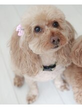 アクアカイロプラクティック&nbsp;ボスまるこ 