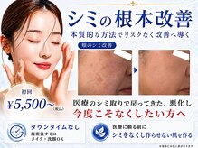 シャルナ(charna)