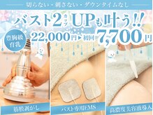 美人バスト 辻堂店