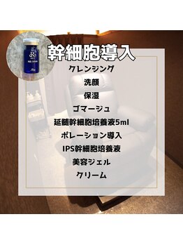 サロン ハリー(SALON HARRY)/幹細胞導入コースの内容