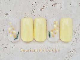 【定額】シンプルデザイン