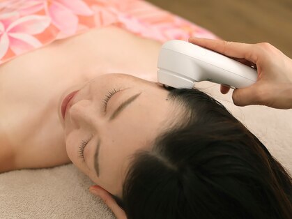 ポワン(Powan)の写真