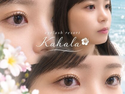 アイラッシュリゾート カハラ 新宿店(Kahala)の写真