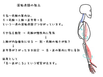 整体家 シン(Shin)/腕の緊張と首・肩こりの関係