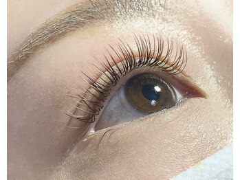 シェイヴィエル(chez viele)/フラットラッシュ120本