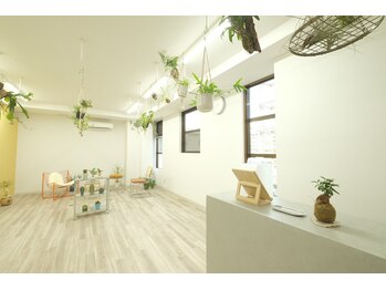 ソアラ(soara)/店内[桂アイサロン]