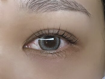 フリー#240(Free#240)/コスメリフト