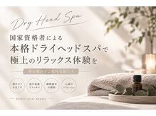 ソレイユ(sole‘il)の雰囲気（快眠ドライヘッドスパ、資格持ちの実力を是非◎ ドライスパ）
