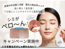 ヘルシーアンドビューティー でわ