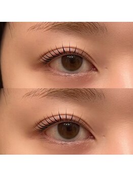 ツリー 荒川沖店(tree)/根元からぱっちり♪