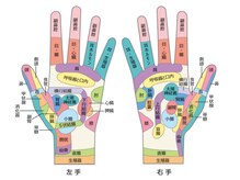 ルポ(REPOS)/手の反射区