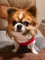 リラクゼーションアンドビューティー コウ(Kou) 愛犬ルキ♪毎日癒されています。可愛い(^-^)