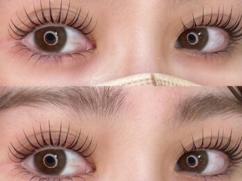 エレファニー(Ele phany)の写真/【完全個室でゆったり施術◎】豊富な提案×高技術で理想の目元に♪当店が初めての方もお気軽にご来店を♪