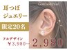 ★大人気！耳つぼジュエリー★大人系、シンプル、キャラ系、クール系