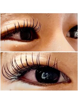 アイラッシュマルヴァ(Eye Lash Malva)/フラットラッシュ