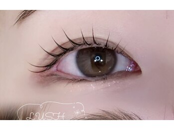 エルレ(ELRe)/立ち上げ×カール