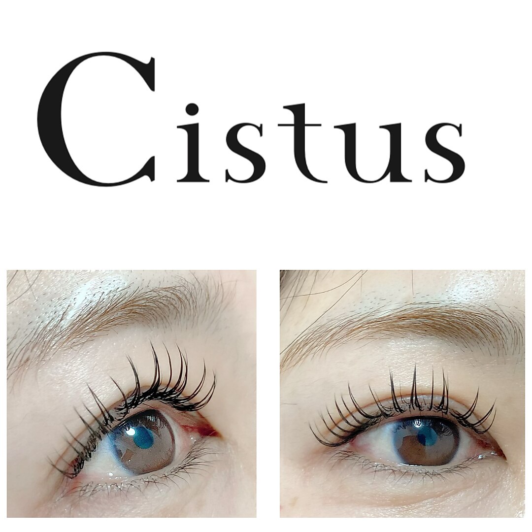 シスタス(Cistus)｜ホットペッパービューティー