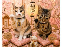 LAULE´Aの雰囲気（猫がいるサロンです。）