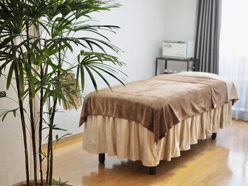 フォルトゥーナ 神田(Fortuna)/広々とした個室でアロマ癒されて