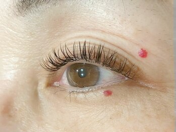 アイラ 新越谷店(EYELA)/*フラットラッシュ160本*