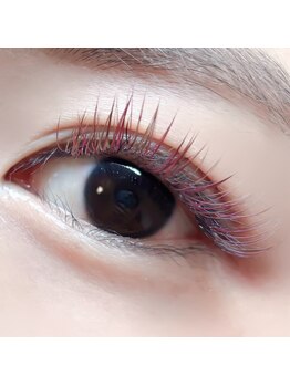 ポピー(POPPY)/ダブルフラットカラー100束