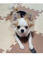 カナン(Kanan) 19歳の息子とチワワ5歳の娘がいる母です♪